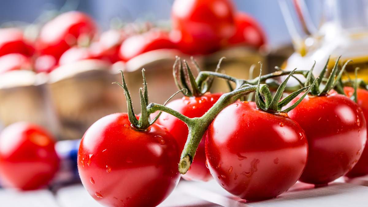У Японія вперше розпочнуть продаж геномодифікованих овочів: поки дозвіл дали лише помідорам У Японія вперше розпочнуть продаж геномодифікованих овочів: поки дозвіл дали лише помідорам