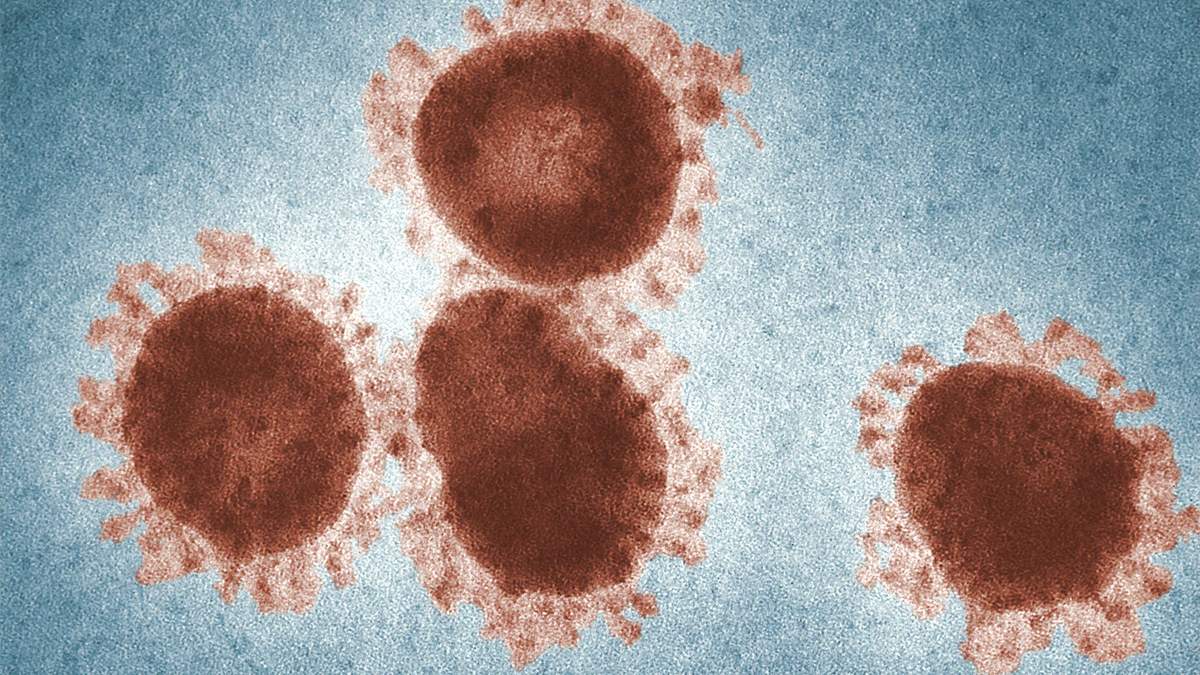 Новый штамм коронавируса в Германии Новый штамм коронавируса в Германии