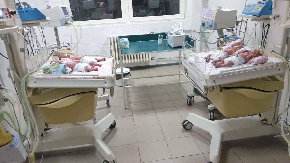 На Закарпатті народилась четвірня На Закарпатті народилась четвірня