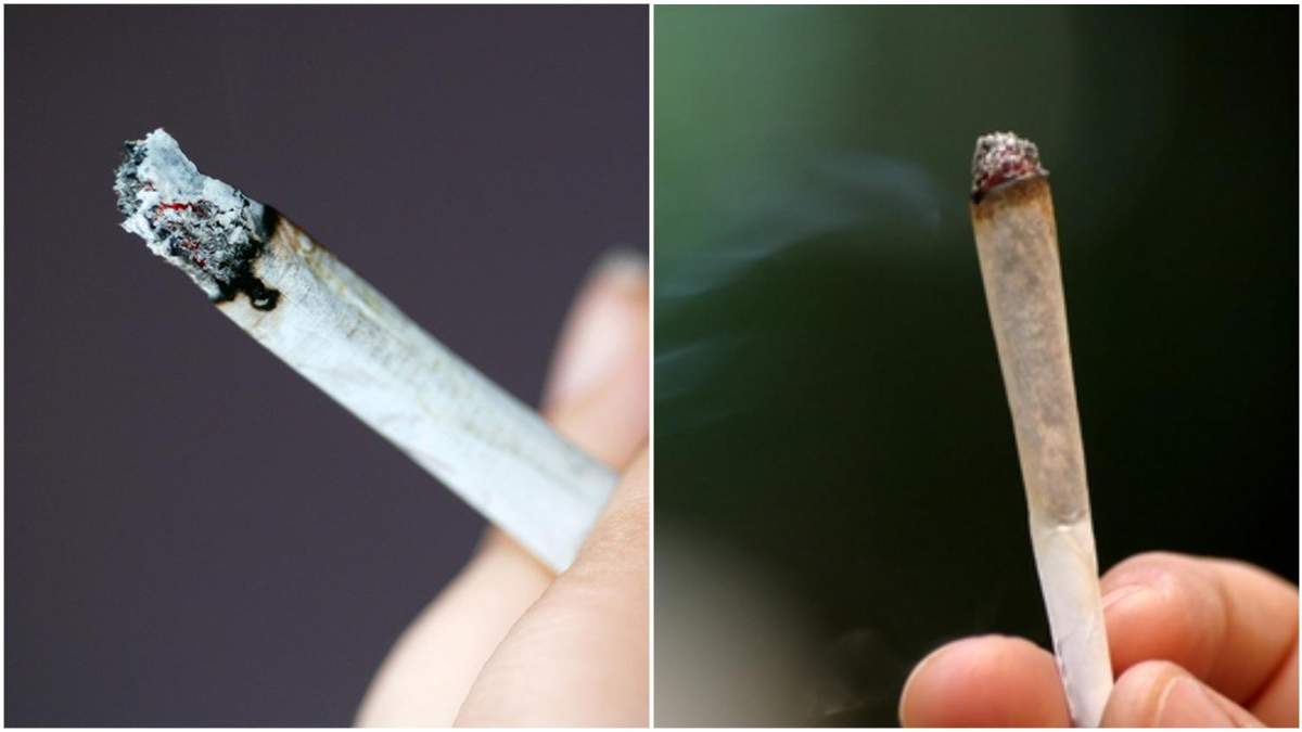 Сравнение табака и марихуаны мосты гидры для тор браузера