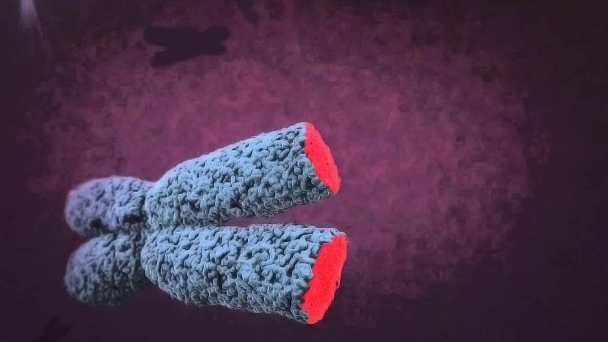 Яким чином коронавірус "зношує" організм Яким чином коронавірус "зношує" організм