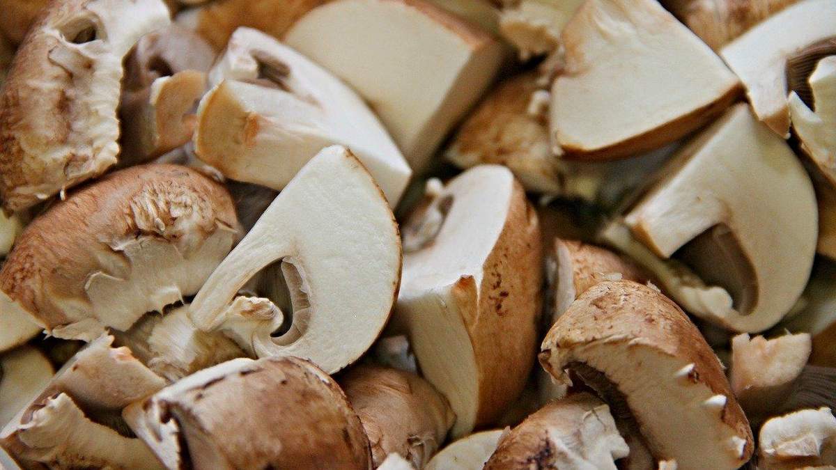 Гриби – користь і чи справді шкодять гриби для здоров'я Гриби – користь і чи справді шкодять гриби для здоров'я