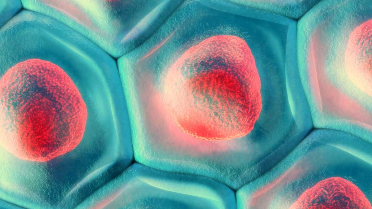 Ученые написали код генома клетки Ученые написали код генома клетки