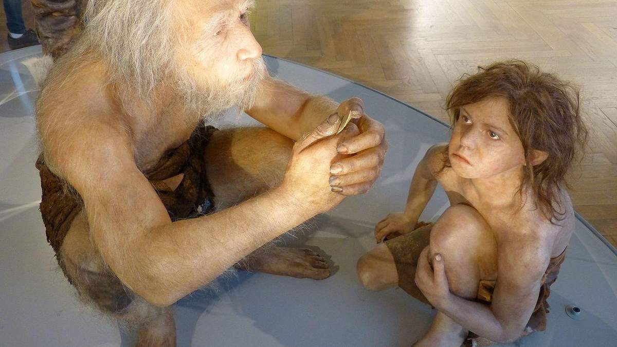 Что ели первобытные люди Что ели первобытные люди