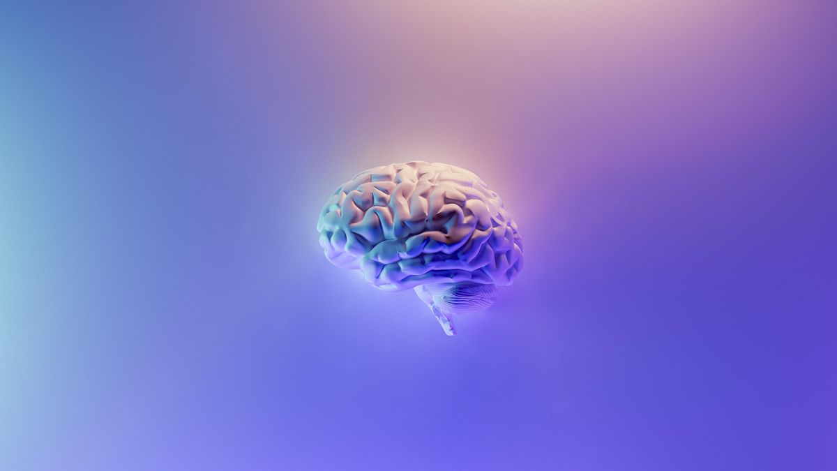 Создали искусственные клетки мозга, которые сохраняют воспоминания: интригующее исследование