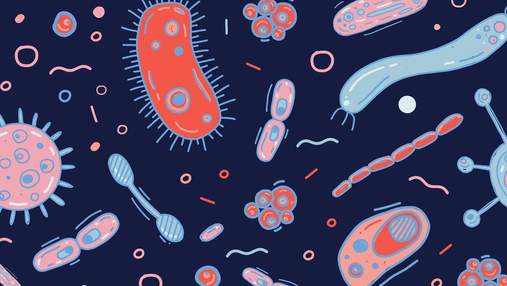 Як кишкові бактерії впливають на настрій