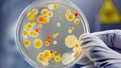 Чому супербактерії стійкі до антибіотиків та як зламати їхній захист